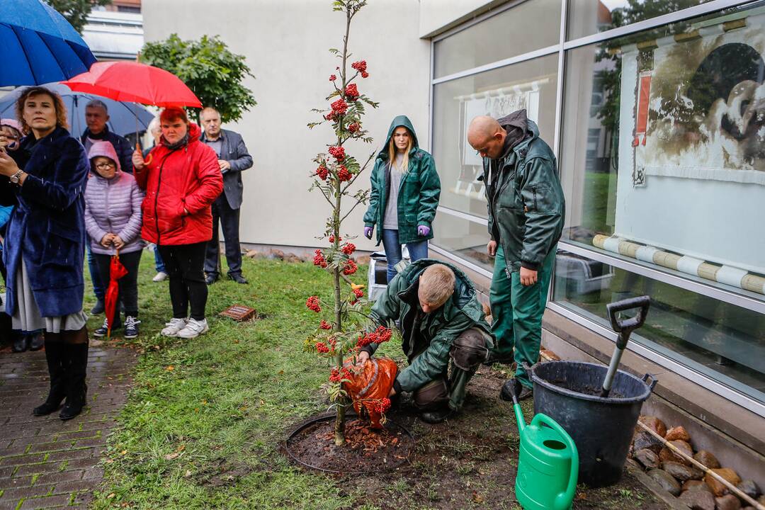 Prasidėjo Knygų mugė 2019