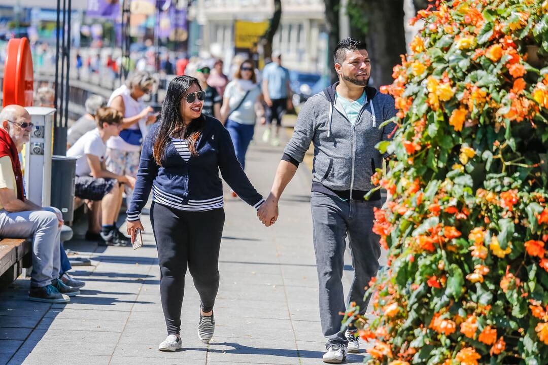 Festivalis „Šokių pynė Lietuvai“