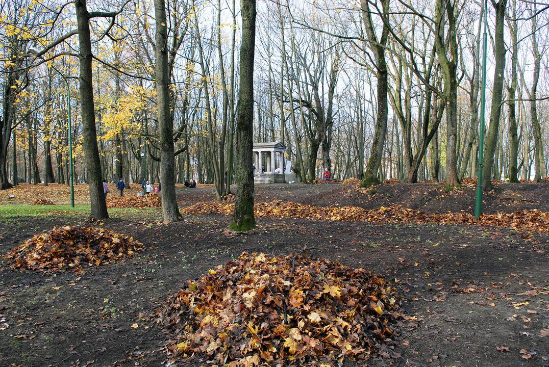 Talka skulptūrų parke