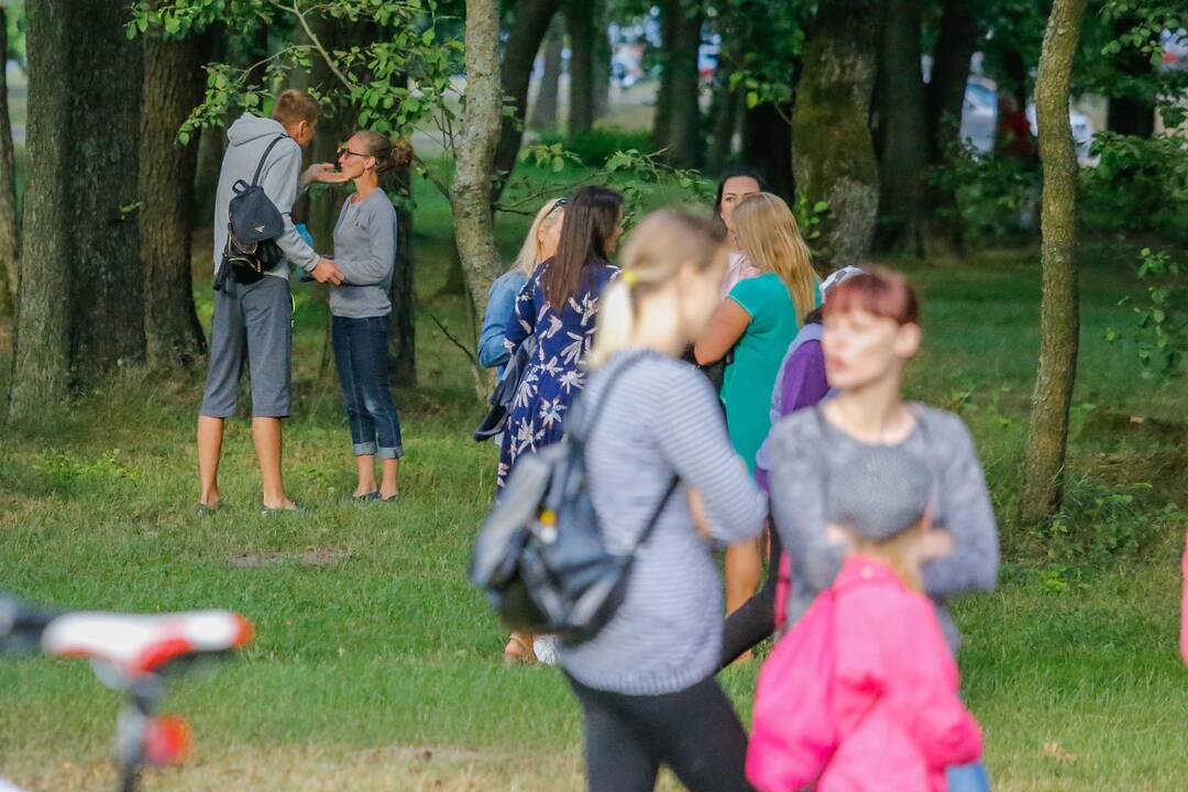 Grupės SEL koncertas