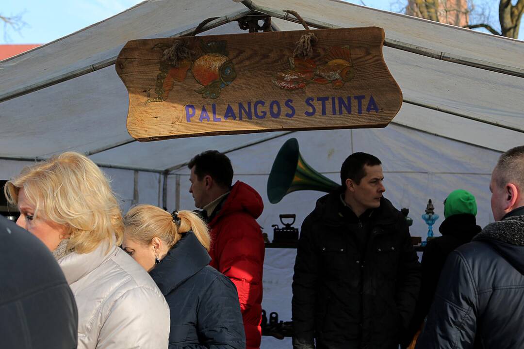 "Palangos stinta 2016"