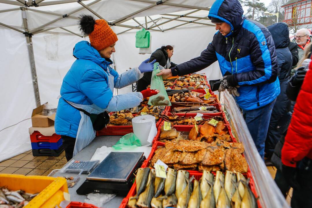 Palangos stinta 2019