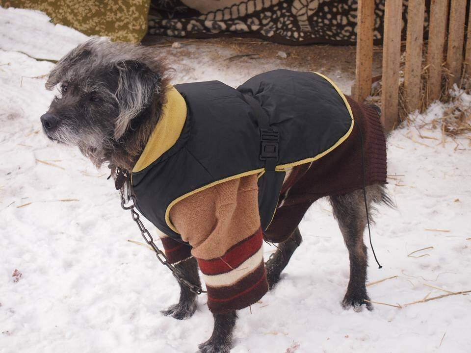 Beglobiams gyvūnams - šilti rūbeliai