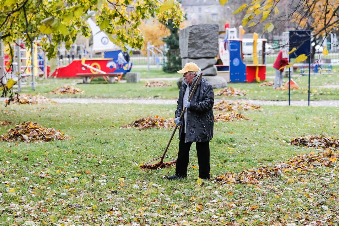 Talka Danės skvere