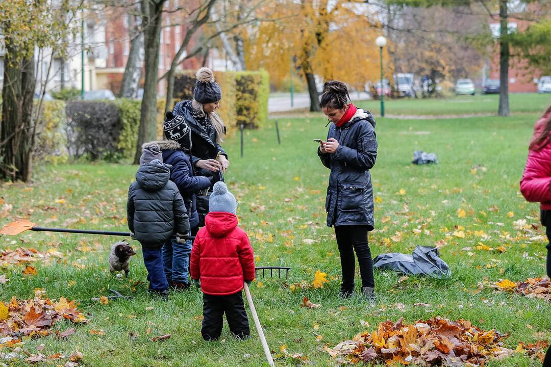 Talka Danės skvere