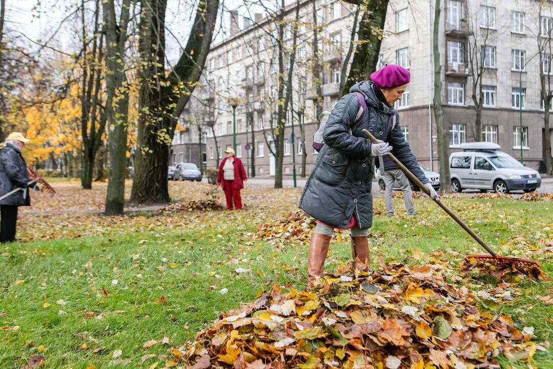 Talka Danės skvere