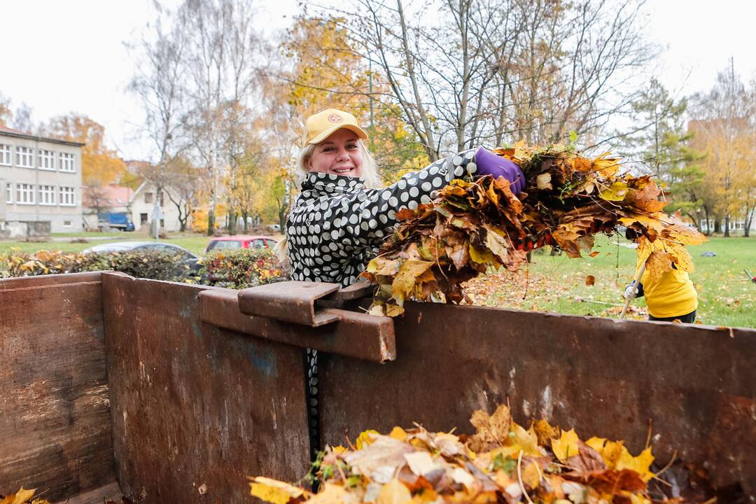 Talka Danės skvere