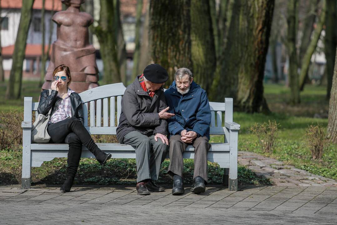 Vynerio arbatėlė Skulptūrų parke