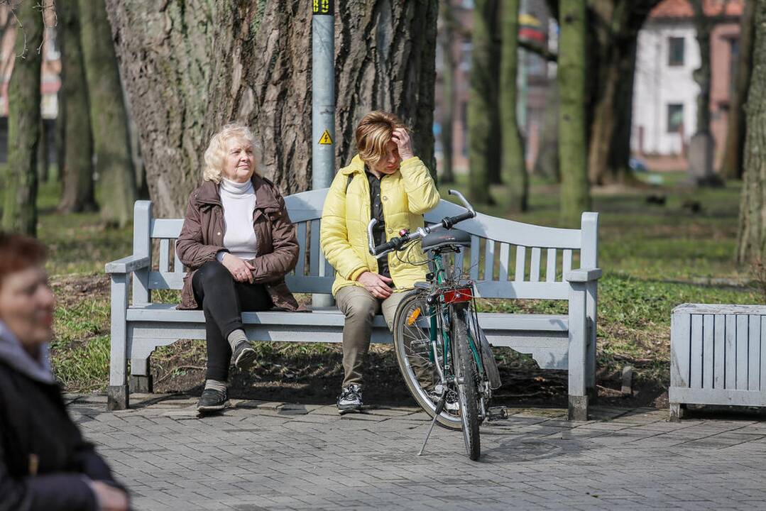 Vynerio arbatėlė Skulptūrų parke