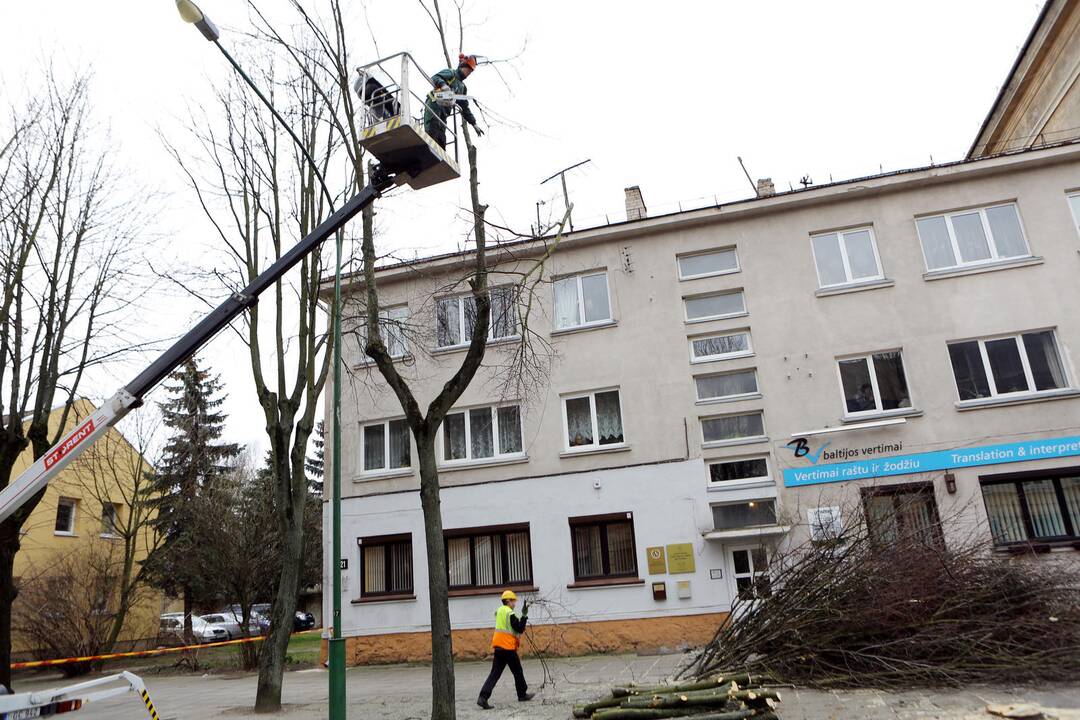 Tvarkymo darbai Šimkaus gatvėje