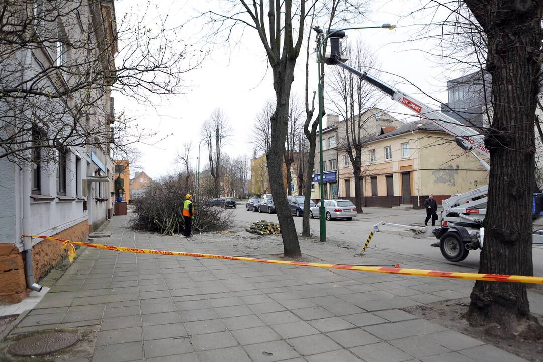 Tvarkymo darbai Šimkaus gatvėje