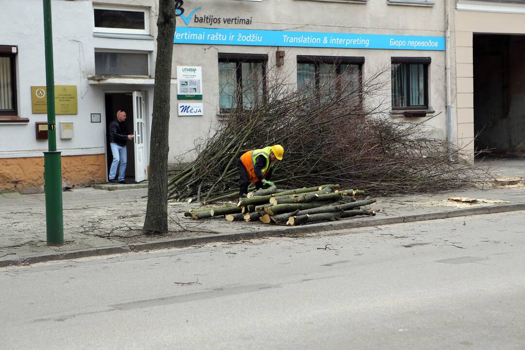 Tvarkymo darbai Šimkaus gatvėje