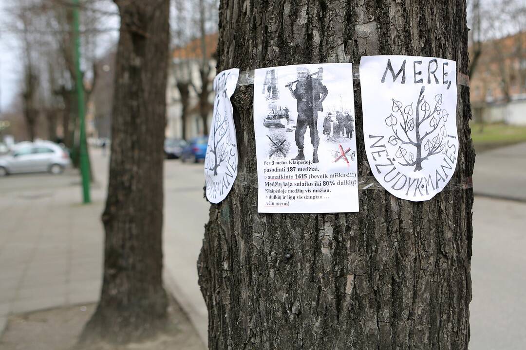 Tvarkymo darbai Šimkaus gatvėje