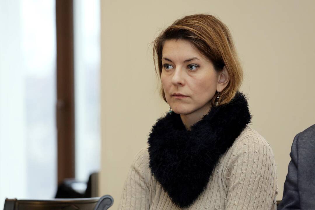 Meras susitiko su kultūros ir meno bendruomenę