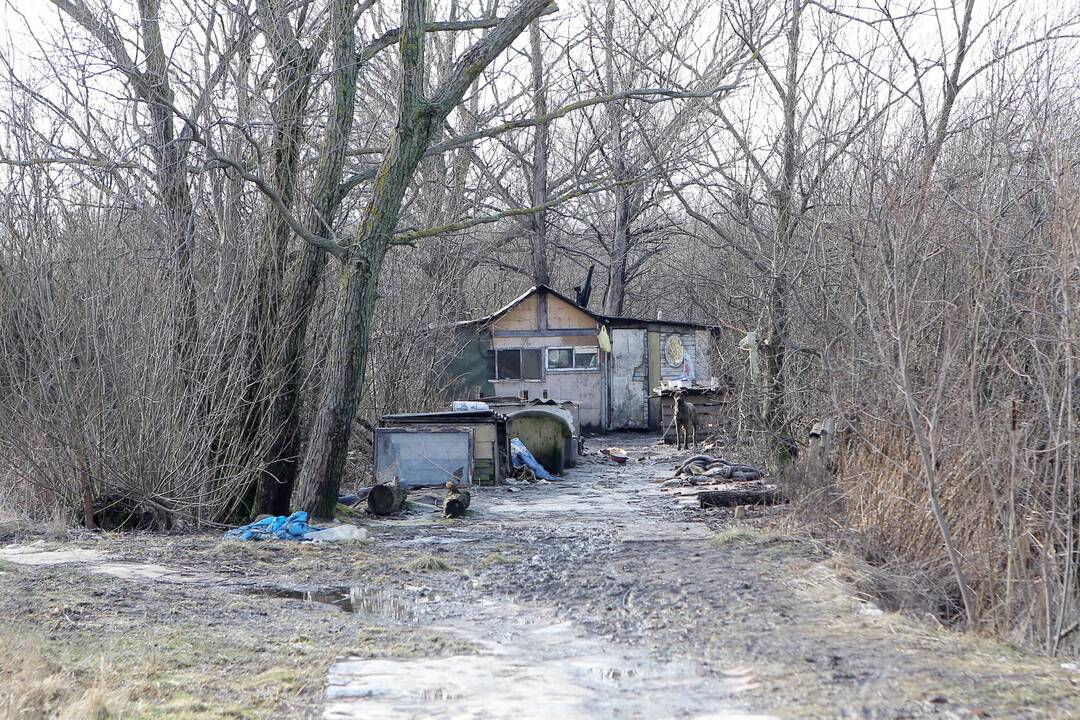 Klaipėdoje – naujas benamių kvartalas