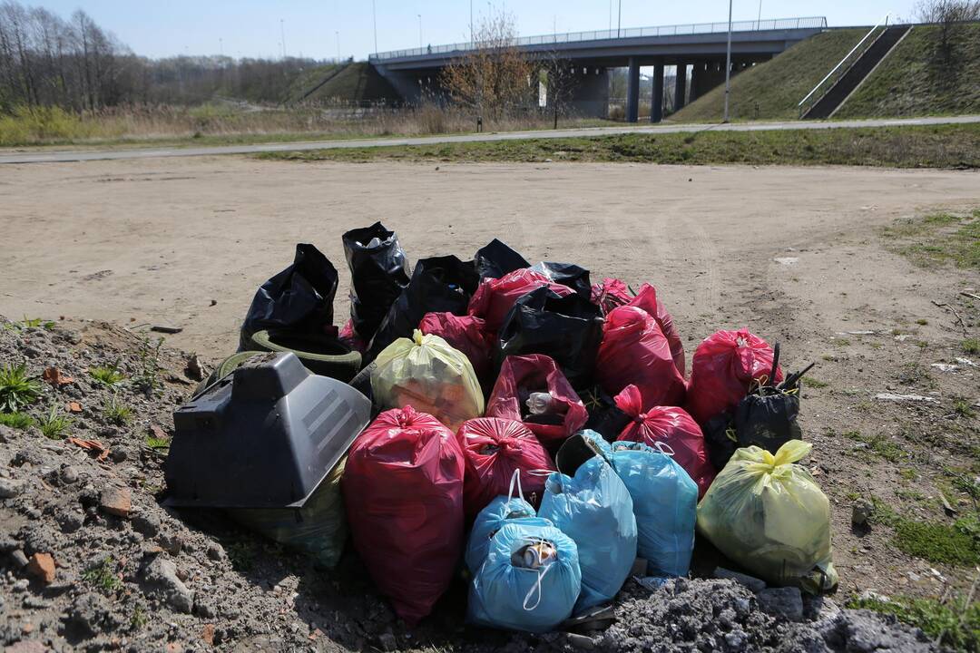 DAROM akcija Klaipėda