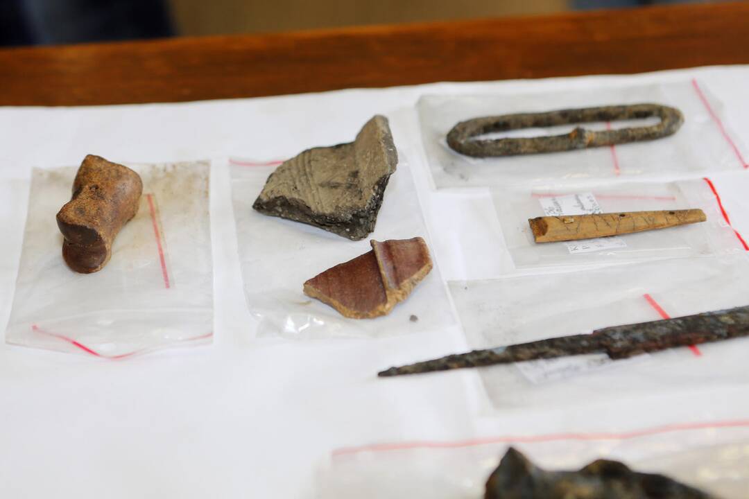 Archeologiniai kasinėjimai piliavietėje