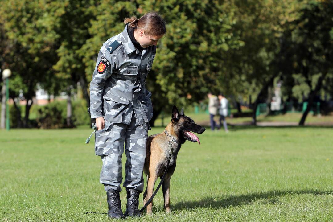 Policijos tarnybinis šuo Troja