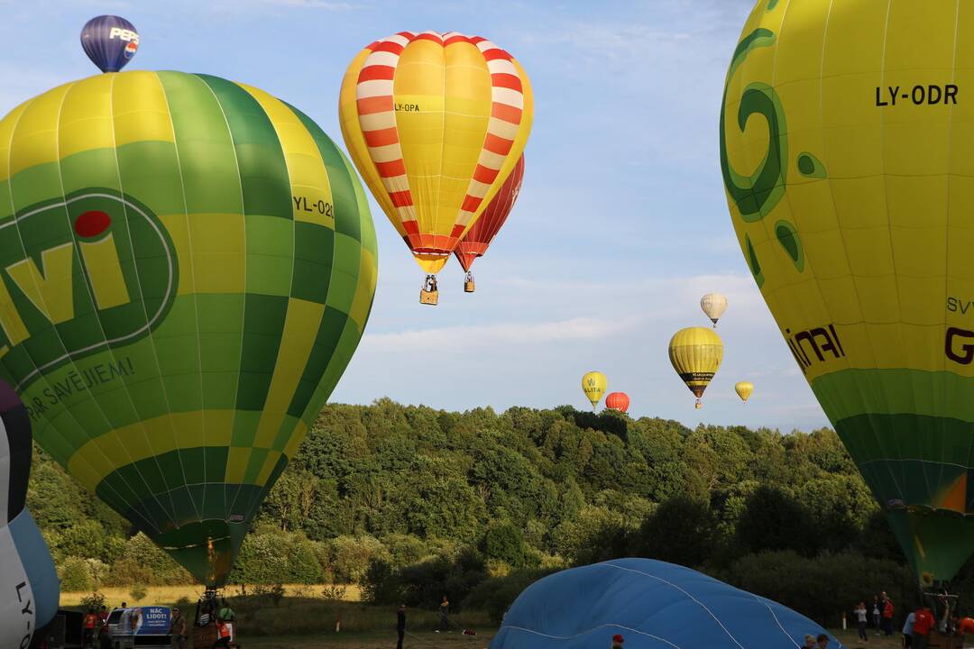 "Klaipėdos krašto taurė 2014"