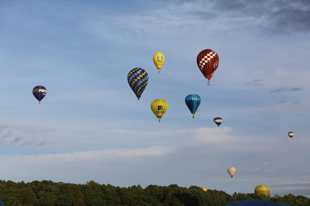 "Klaipėdos krašto taurė 2014"
