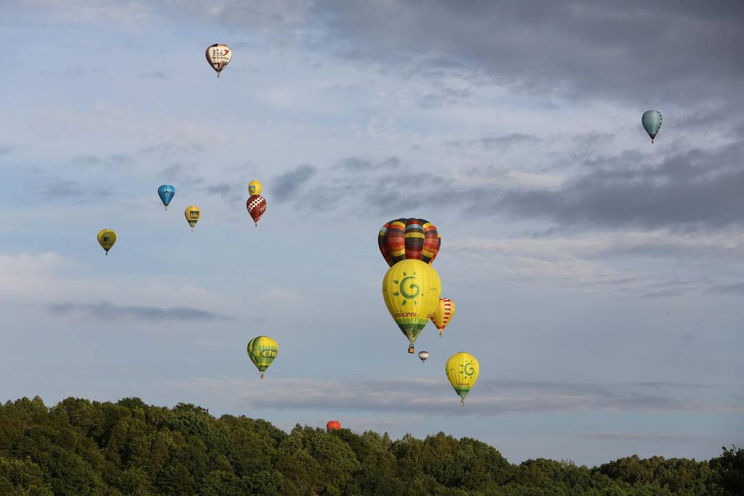 "Klaipėdos krašto taurė 2014"