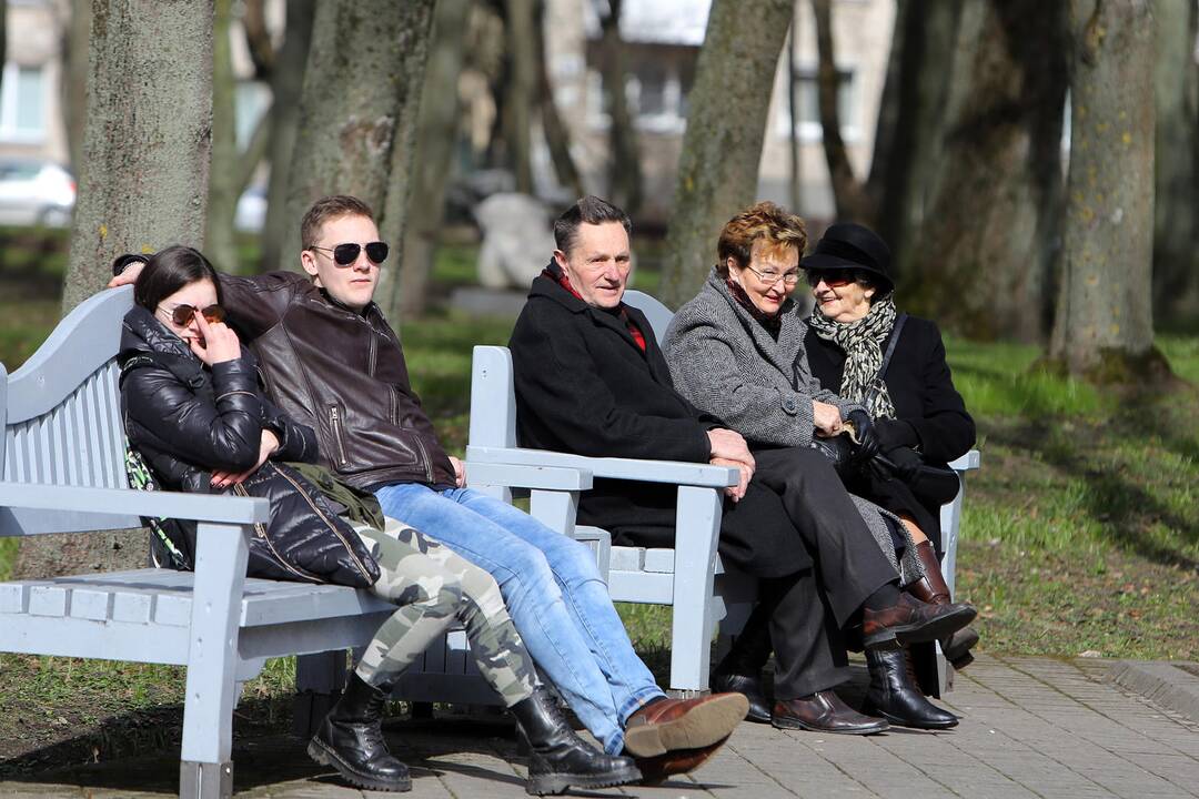 Vynerio arbatėlė skulptūrų parke