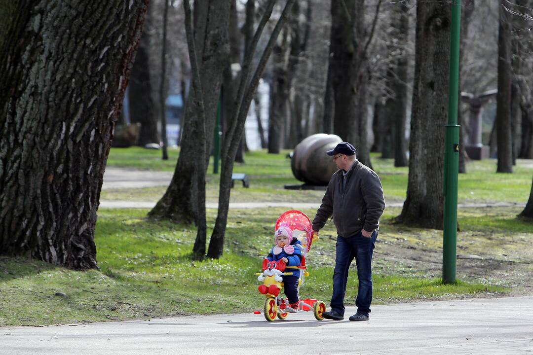 Vynerio arbatėlė skulptūrų parke