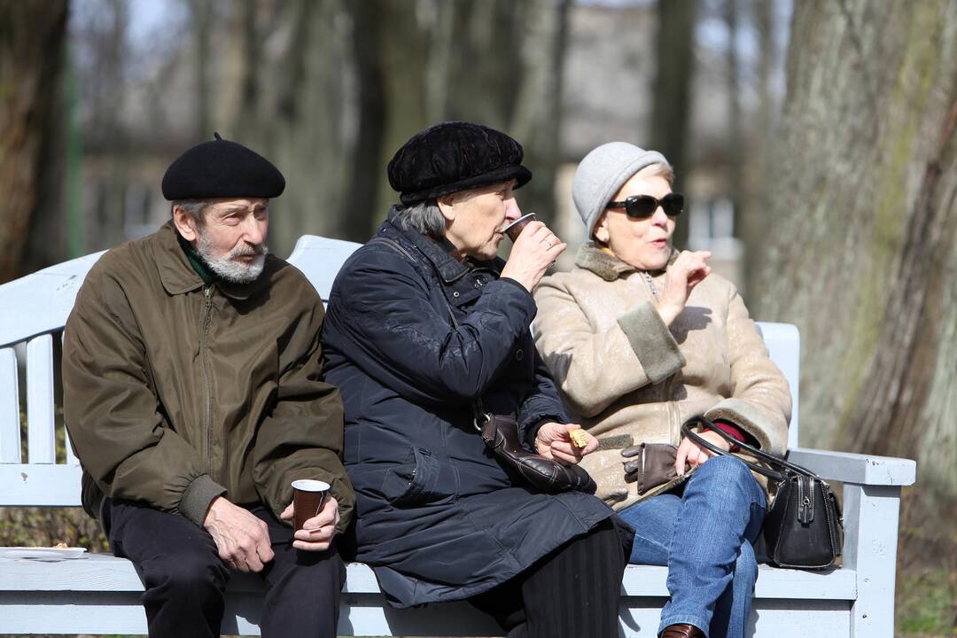 Vynerio arbatėlė skulptūrų parke