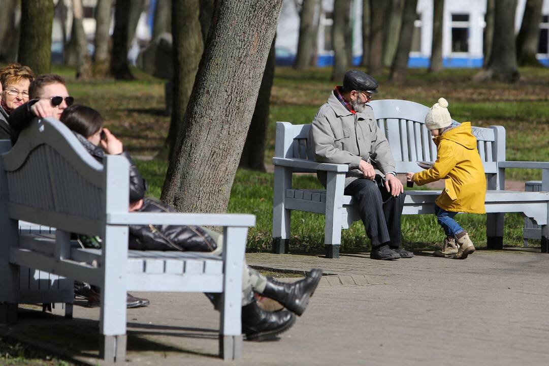 Vynerio arbatėlė skulptūrų parke