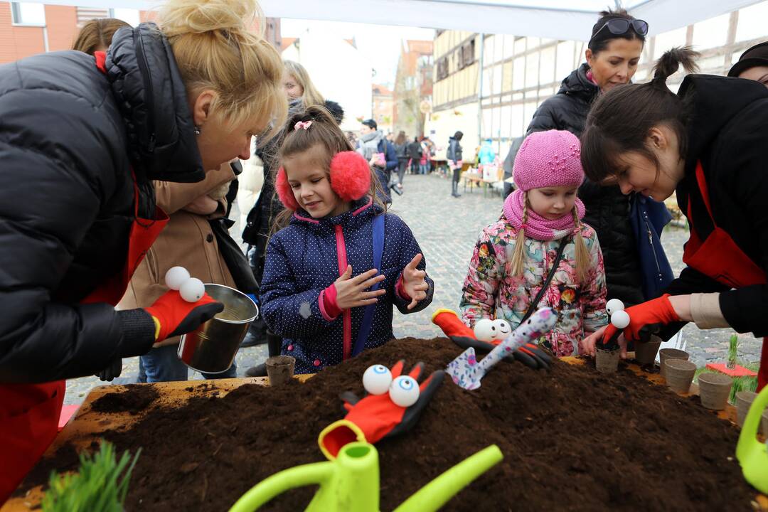 Atvelykis Klaipėdoje