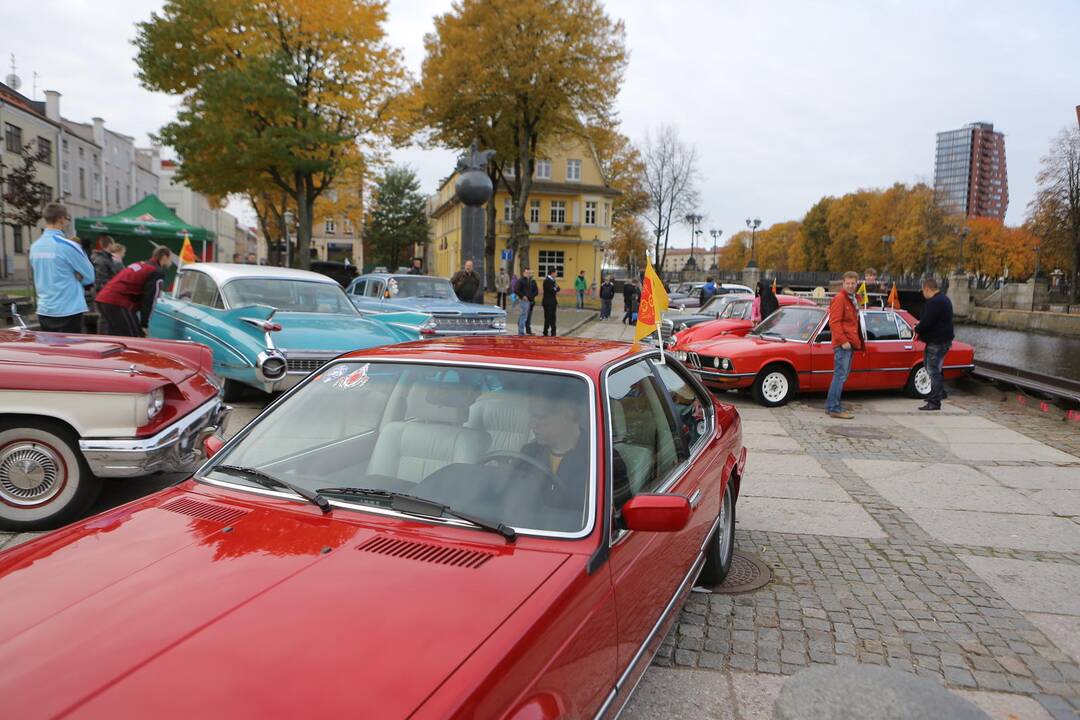 "Auto regata 2013" Klaipėdoje