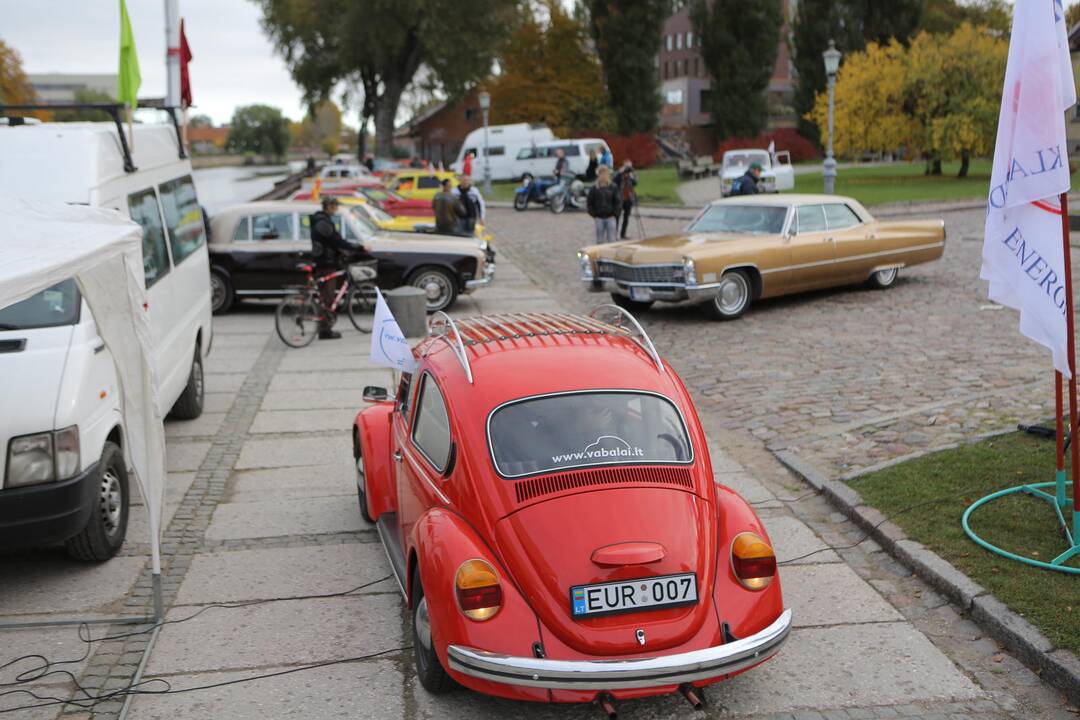 "Auto regata 2013" Klaipėdoje