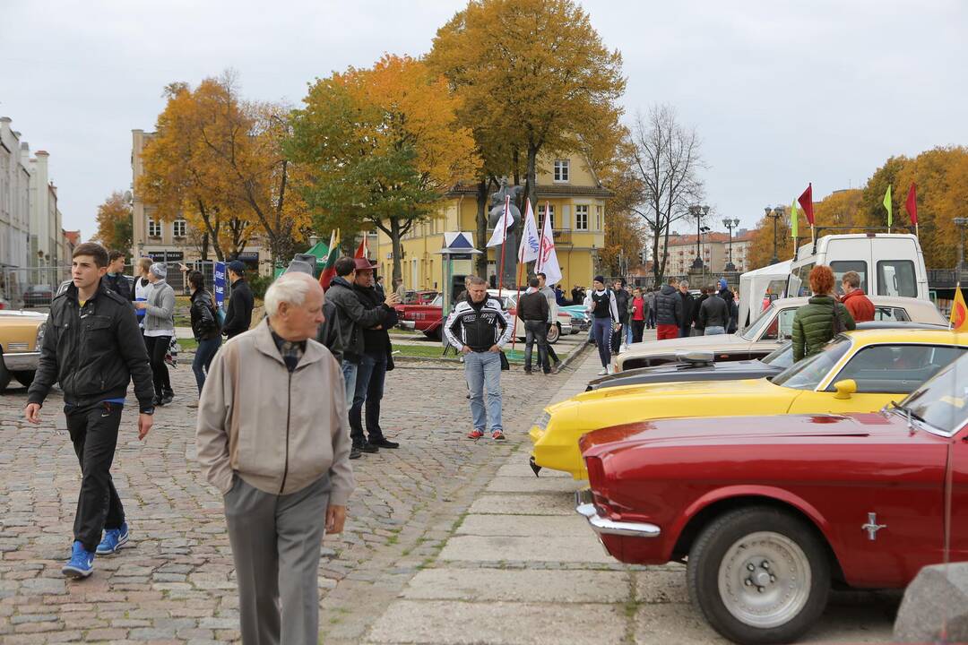 "Auto regata 2013" Klaipėdoje