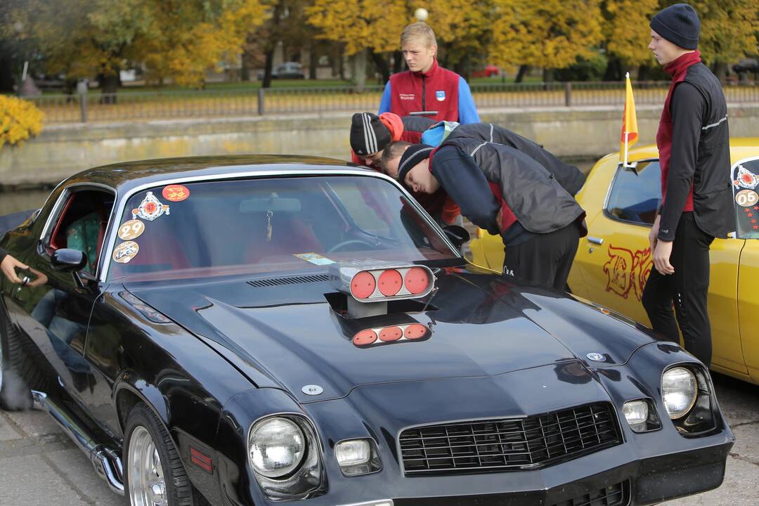 "Auto regata 2013" Klaipėdoje