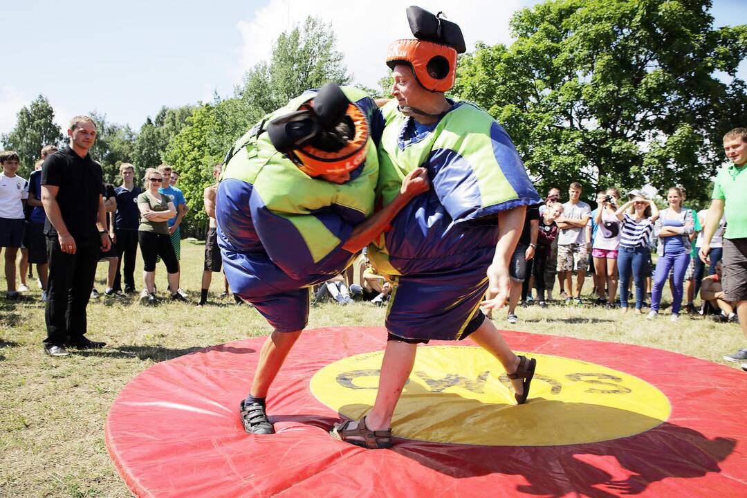 Vaikų stovykla dragūnuose