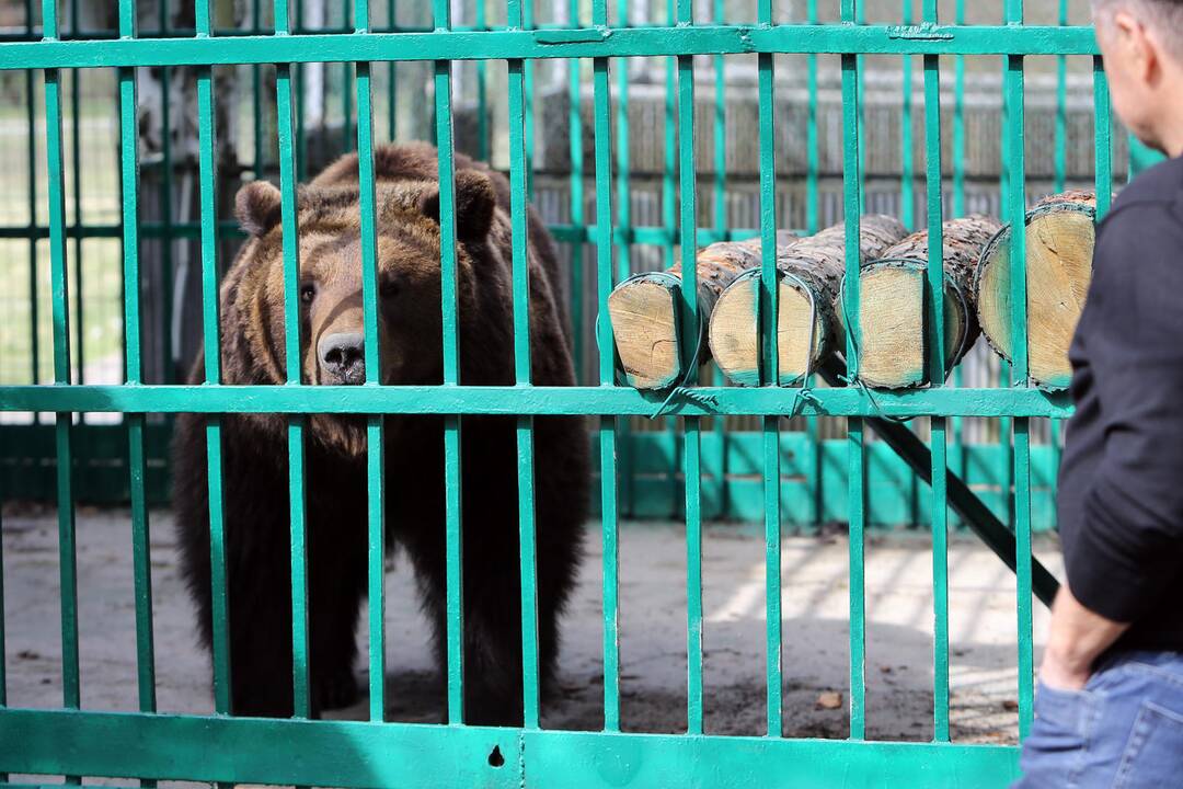 Zoologijos sode - nauji gyventojai
