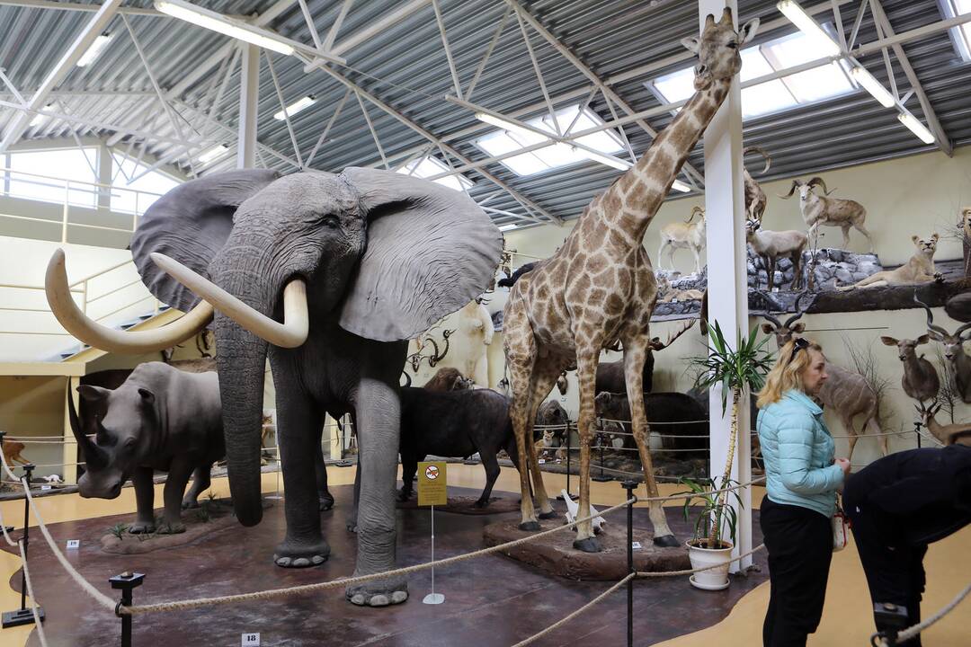 Zoologijos sode - nauji gyventojai