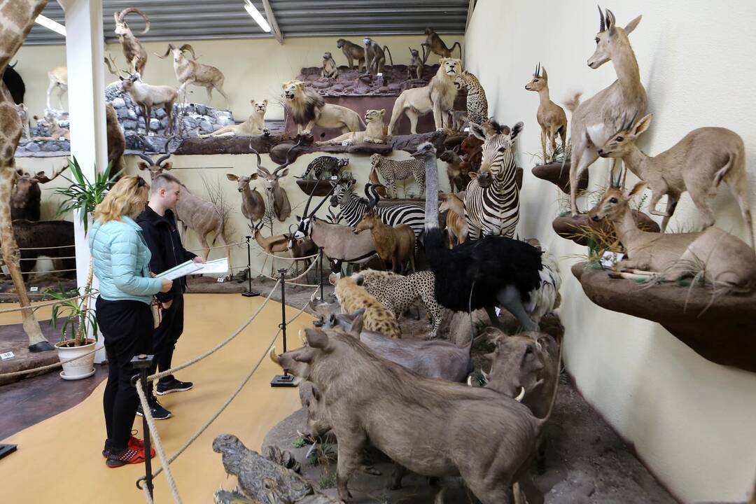 Zoologijos sode - nauji gyventojai