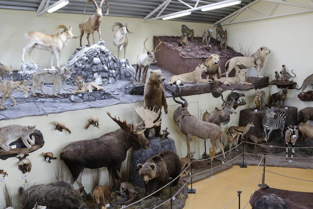 Zoologijos sode - nauji gyventojai