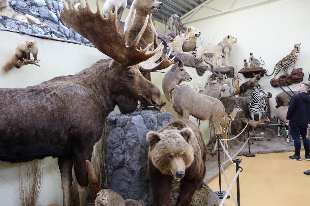 Zoologijos sode - nauji gyventojai