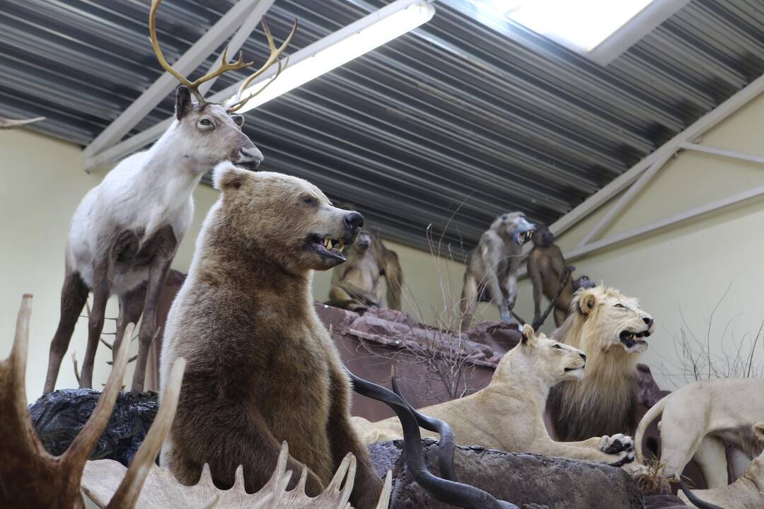 Zoologijos sode - nauji gyventojai