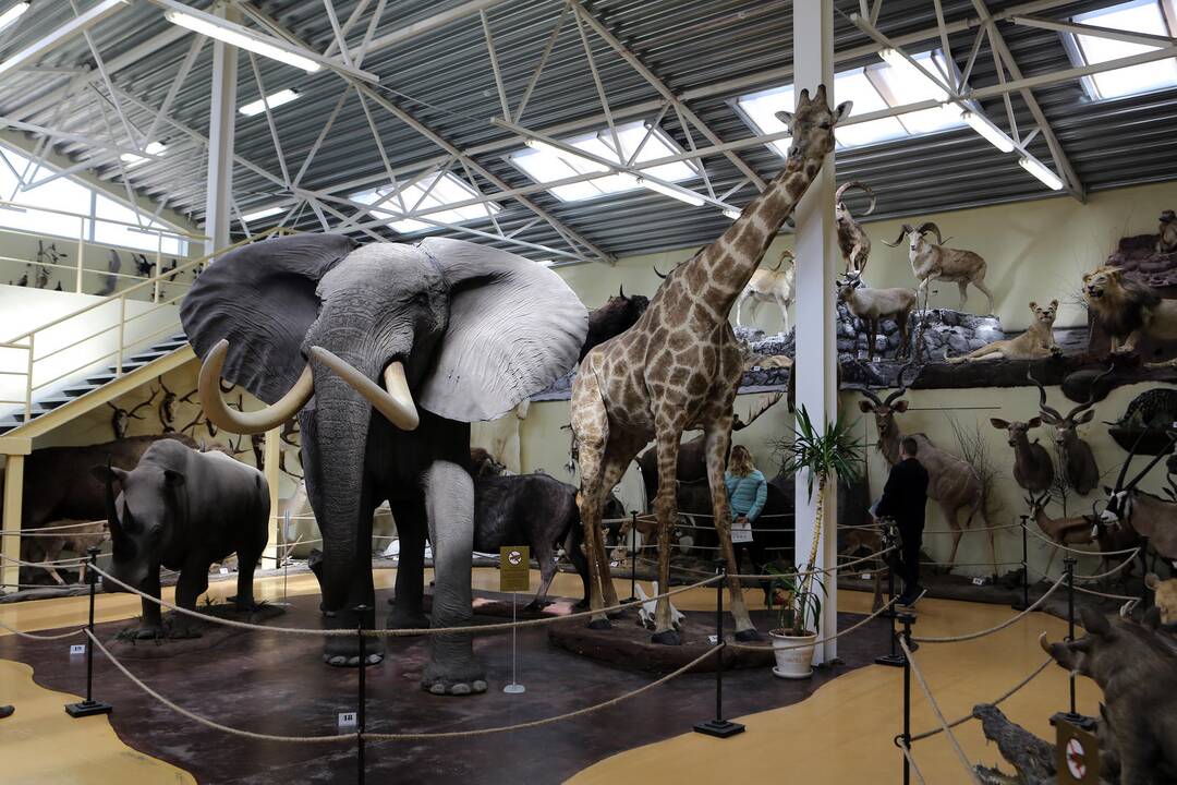 Zoologijos sode - nauji gyventojai