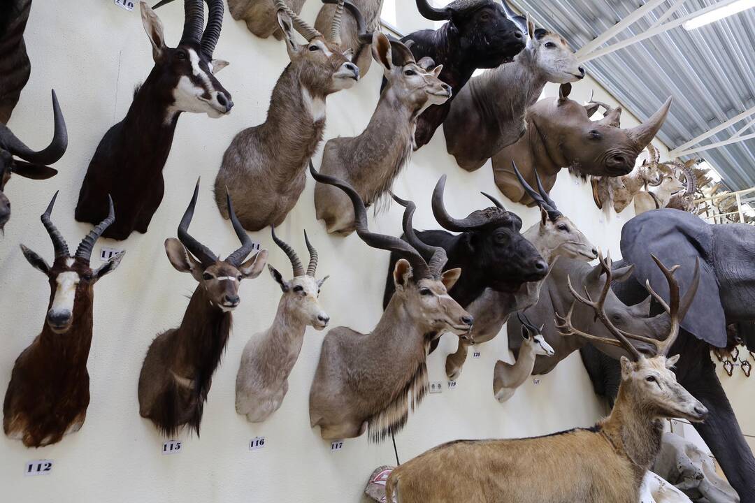 Zoologijos sode - nauji gyventojai