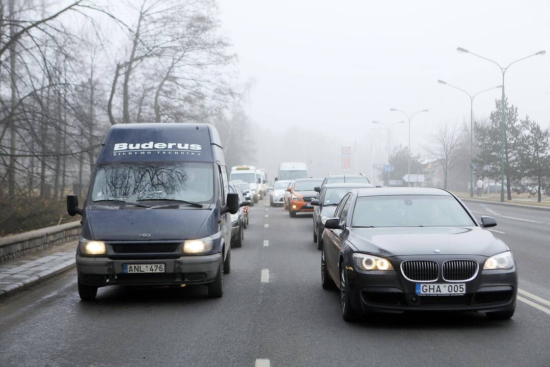 Poilsio parke kertami medžiai