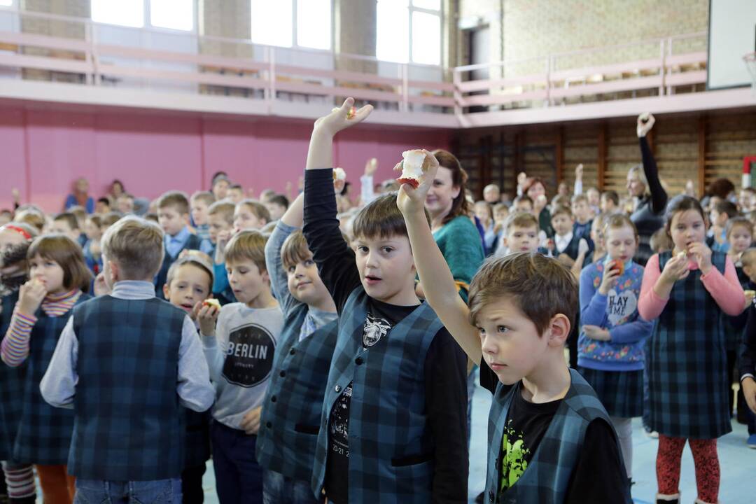Mokiniai siekė pagerinti obuolių valgymo rekordą