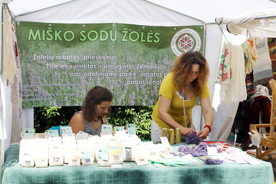 Parbėk laivelis 2014