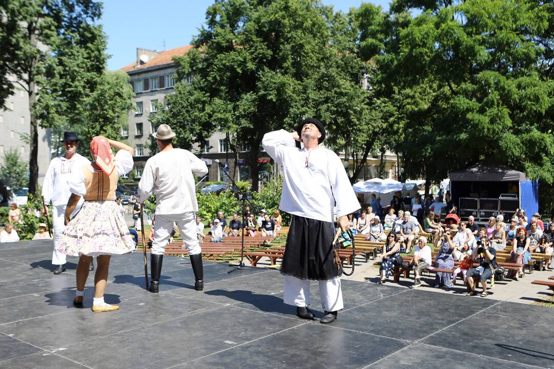 Parbėk laivelis 2014