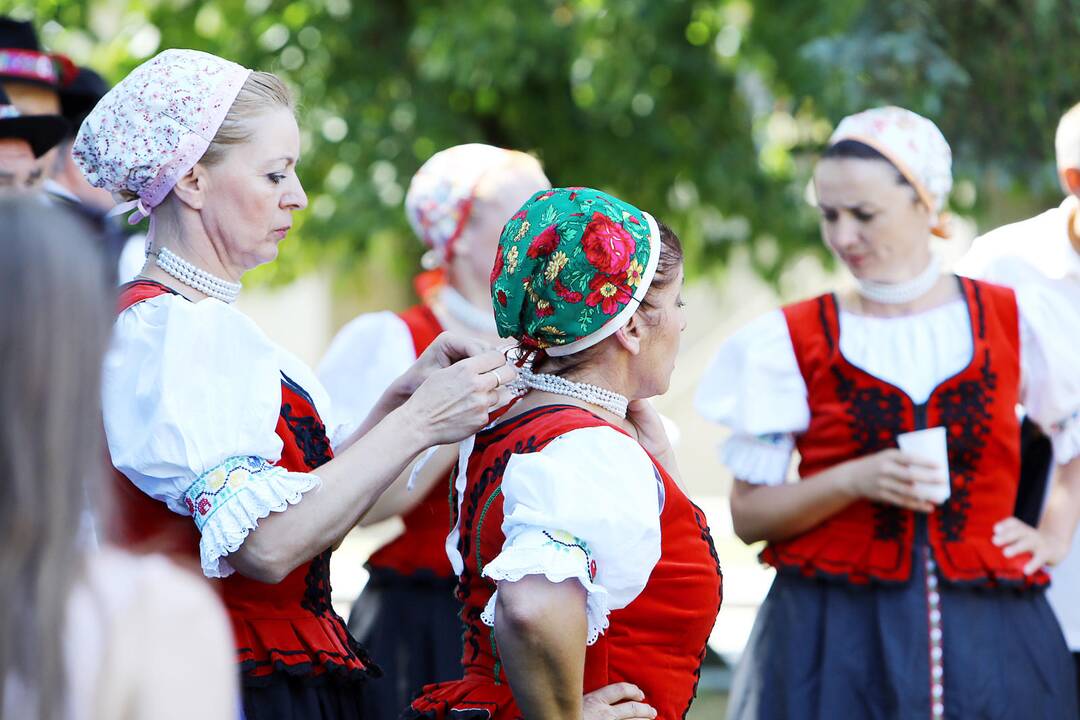 Parbėk laivelis 2014