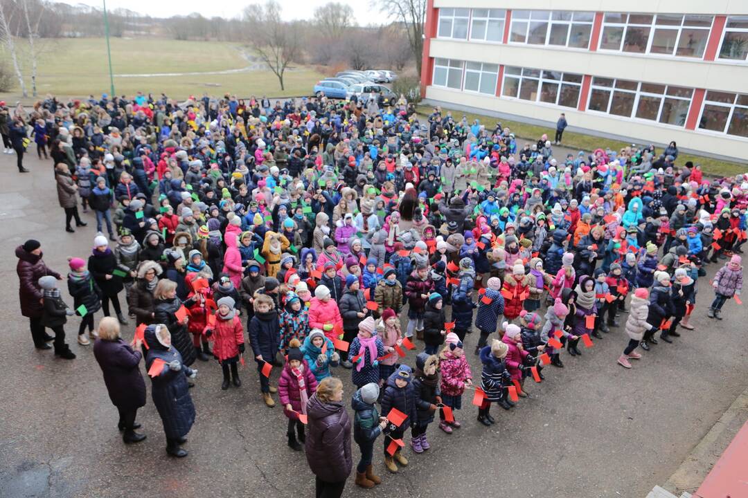 "Verdenės" mokyklos mokinių šokis