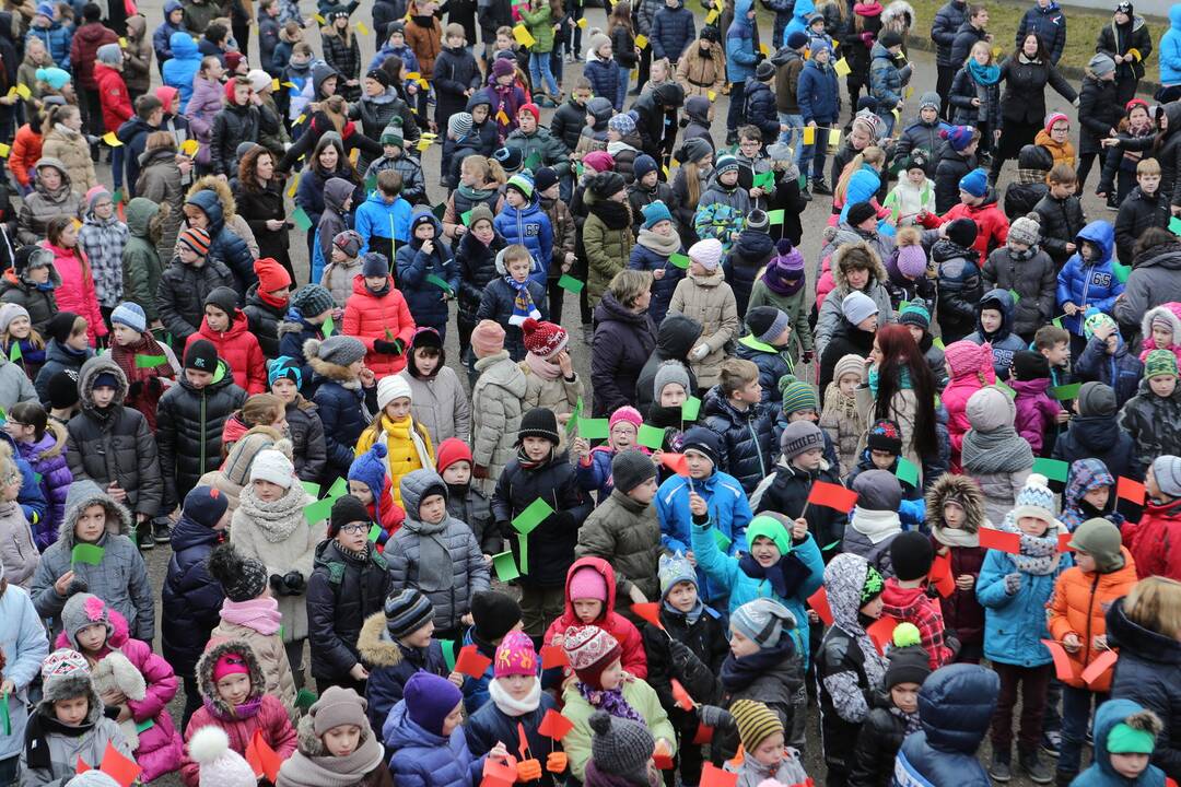 "Verdenės" mokyklos mokinių šokis